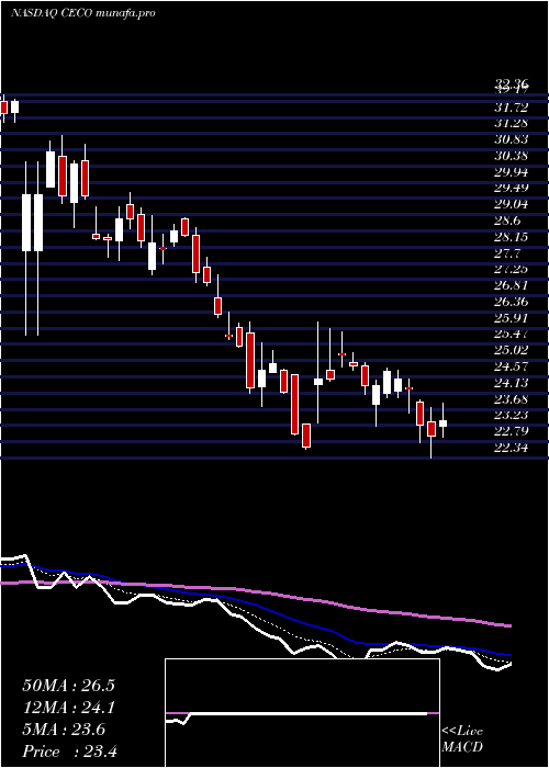  Daily chart CareerEducation