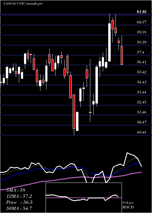 Daily chart ConcentrixCorporation