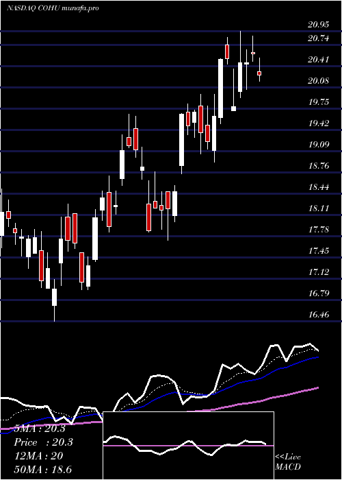 Daily chart CohuInc