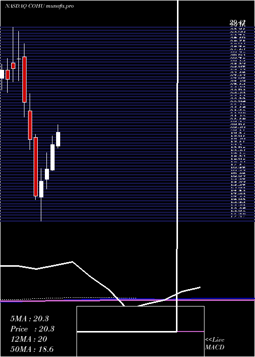 monthly chart CohuInc