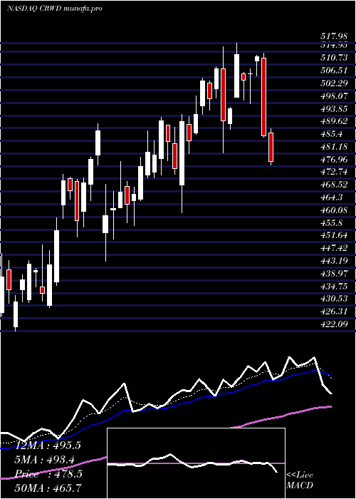 Daily chart CrowdstrikeHoldings