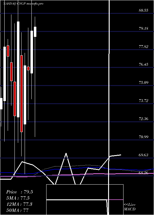  monthly chart CostarGroup