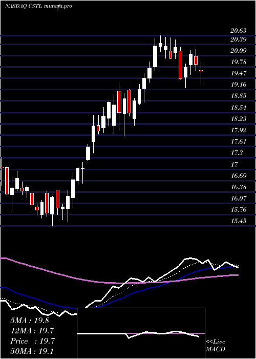 Daily chart CastleBiosciences