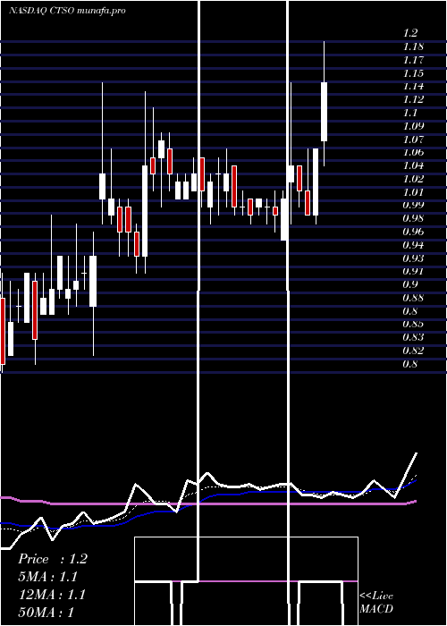  Daily chart CytosorbentsCorporation