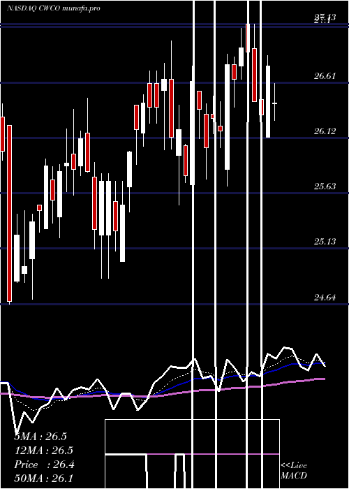  Daily chart ConsolidatedWater