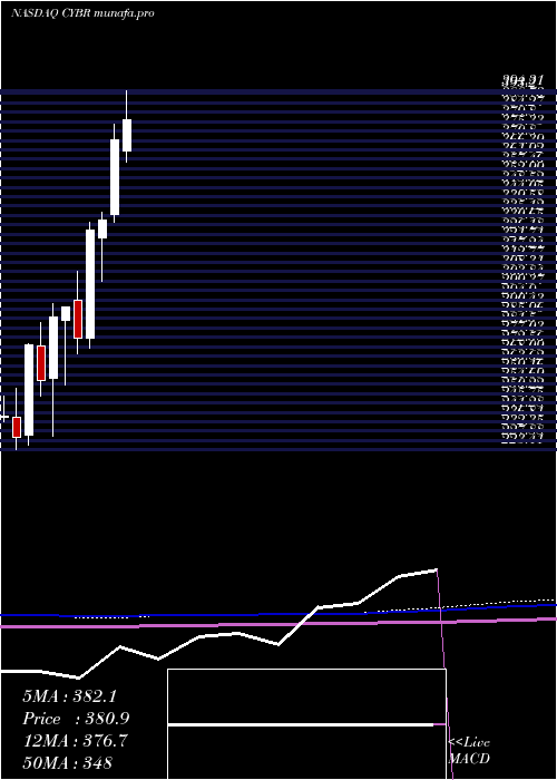  monthly chart CyberarkSoftware