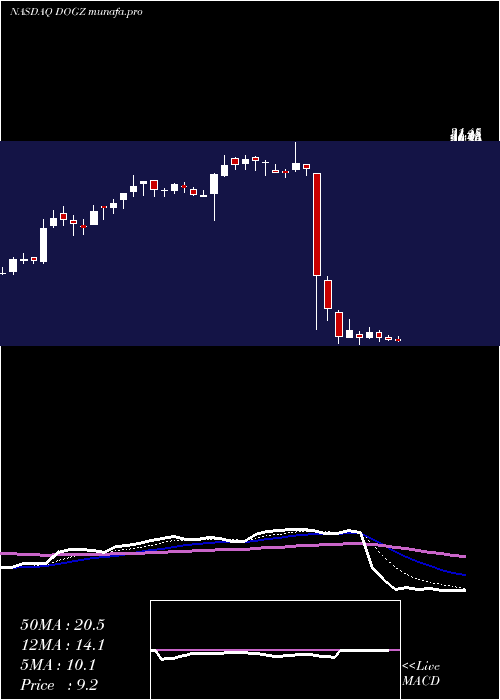  Daily chart DognessInternational