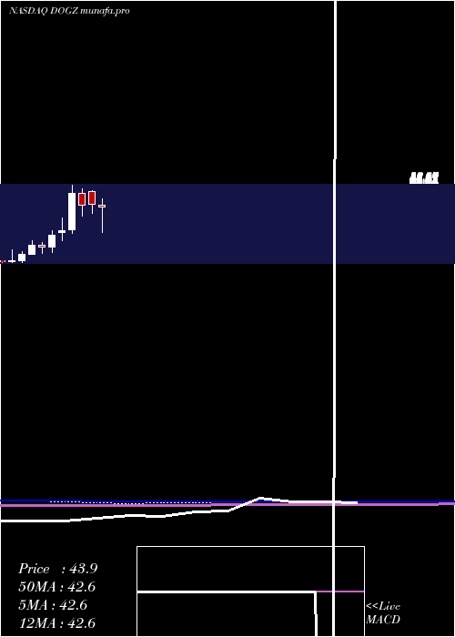  monthly chart DognessInternational