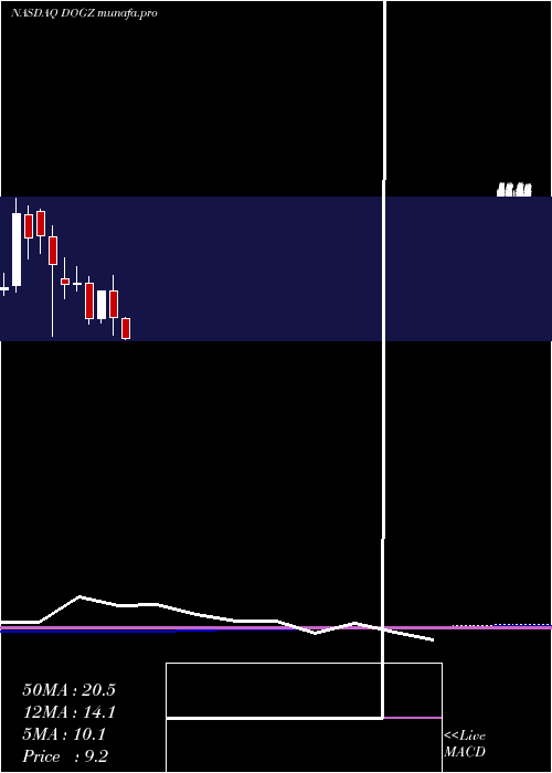 monthly chart DognessInternational
