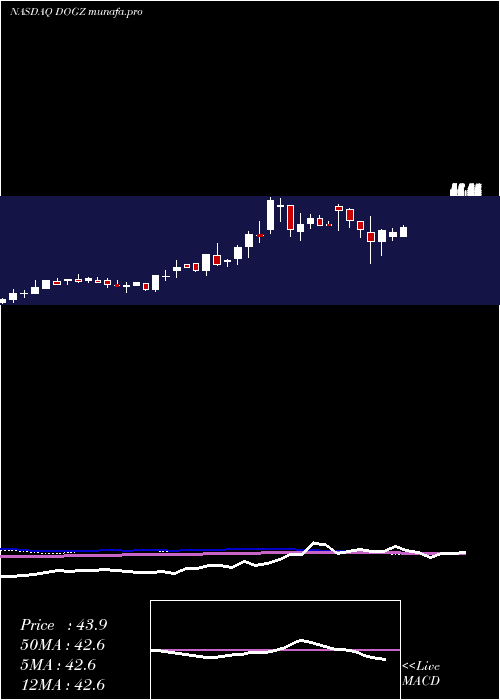  weekly chart DognessInternational