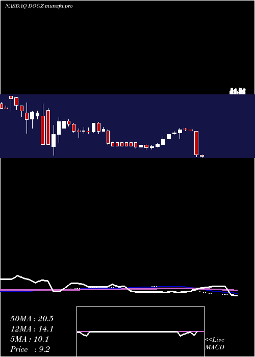 weekly chart DognessInternational
