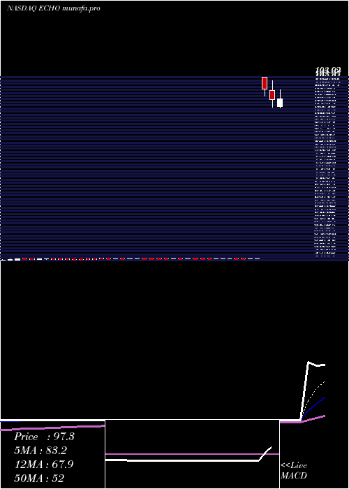  Daily chart EchoGlobal