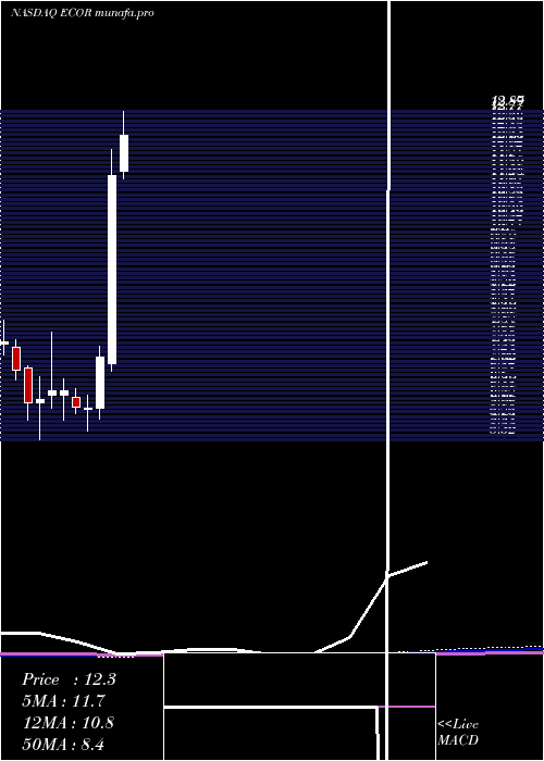  monthly chart ElectrocoreInc