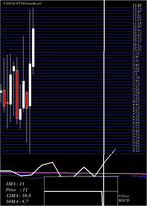  monthly chart 89bioInc