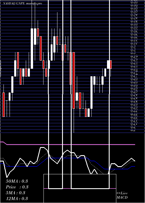 Daily chart GenprexInc