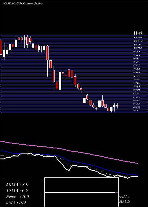  Daily chart GohealthInc