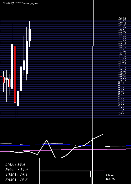  monthly chart GohealthInc