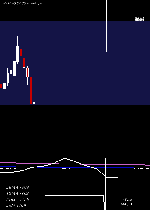 monthly chart GohealthInc