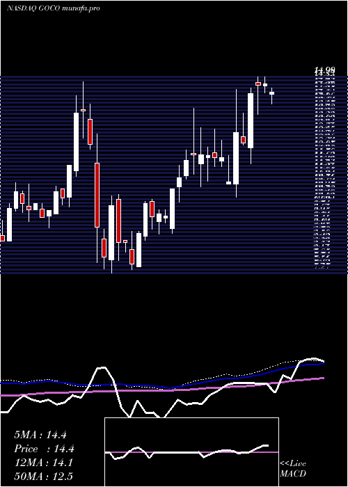  weekly chart GohealthInc