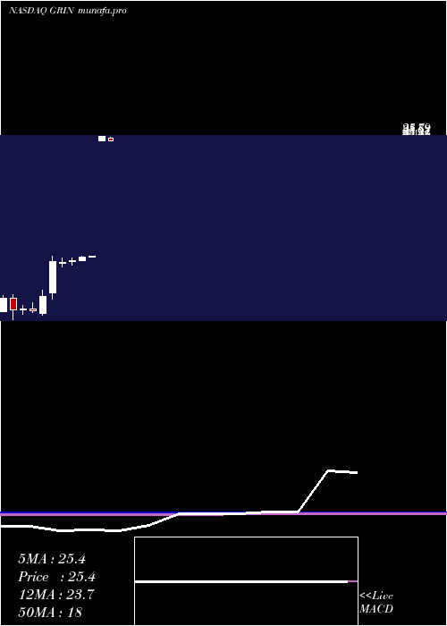 monthly chart GrindrodShipping
