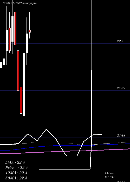 monthly chart WisdomtreeInterest