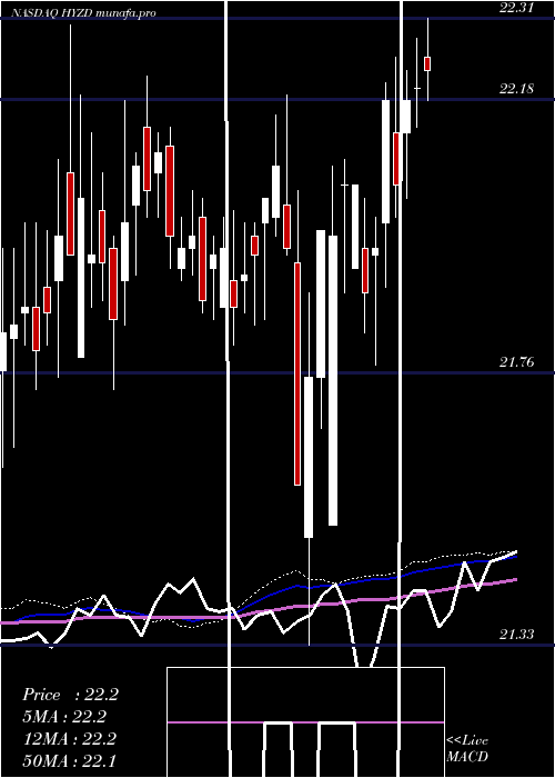  weekly chart WisdomtreeInterest