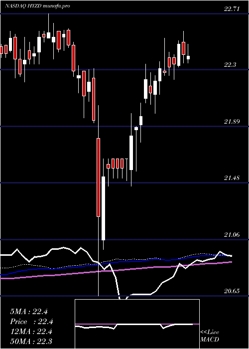 weekly chart WisdomtreeInterest