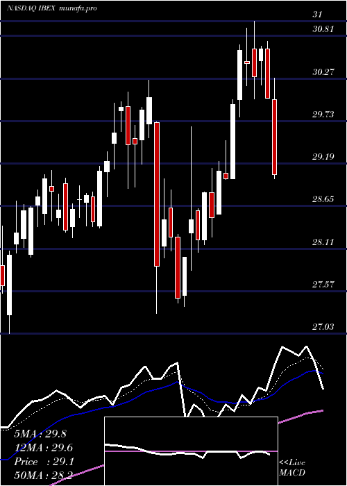  Daily chart IbexHoldings