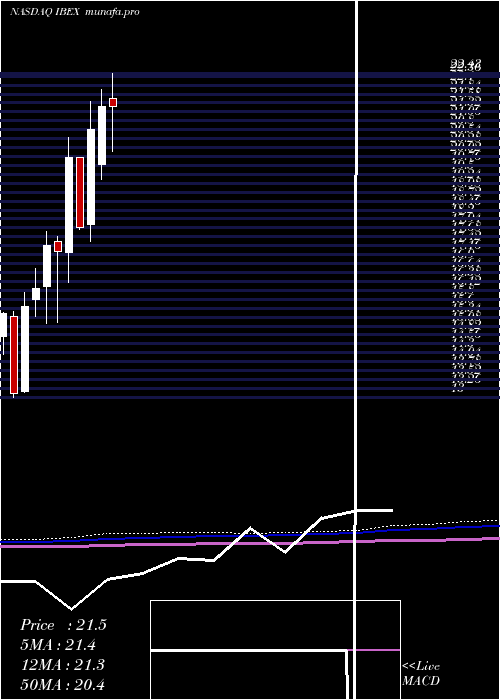  monthly chart IbexHoldings