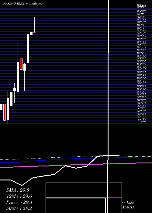 monthly chart IbexHoldings