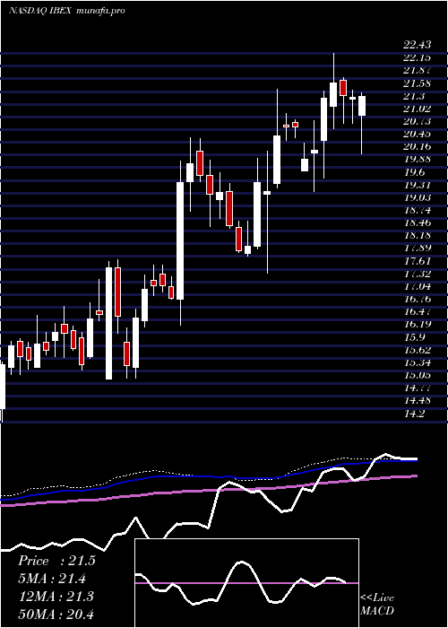  weekly chart IbexHoldings