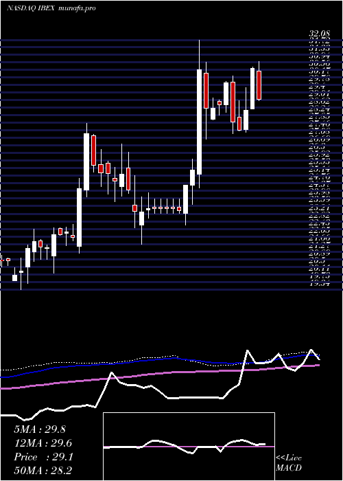 weekly chart IbexHoldings