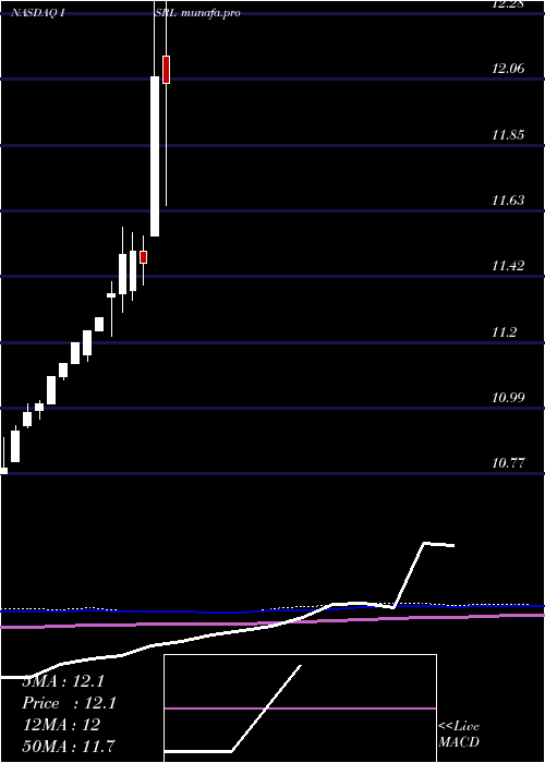 monthly chart IsramcoInc