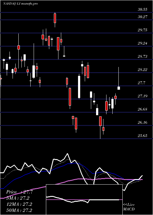 Daily chart LiAuto