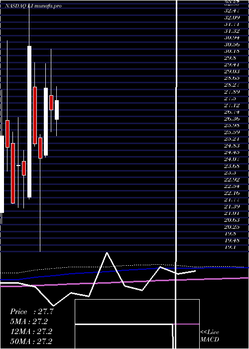 monthly chart LiAuto