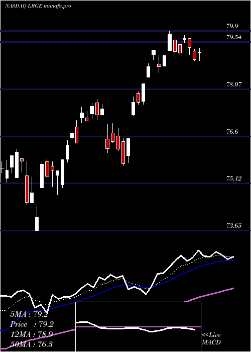  Daily chart ClearbridgeLarge