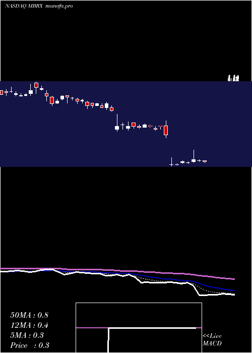  Daily chart MoleculinBiotech