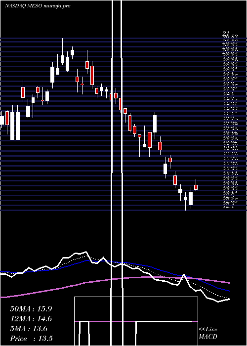  Daily chart Mesoblast