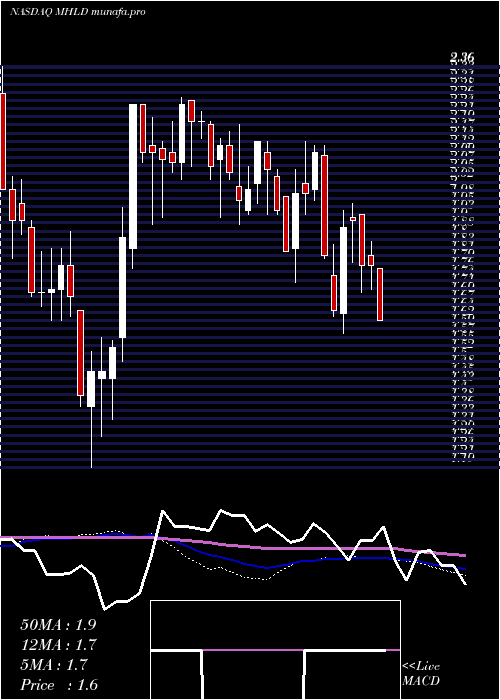  weekly chart MaidenHoldings