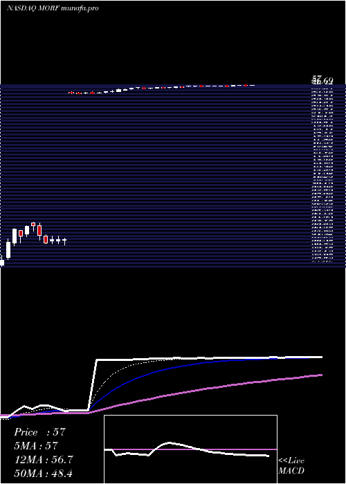 Daily chart MorphicHolding