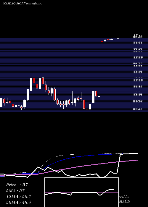 weekly chart MorphicHolding