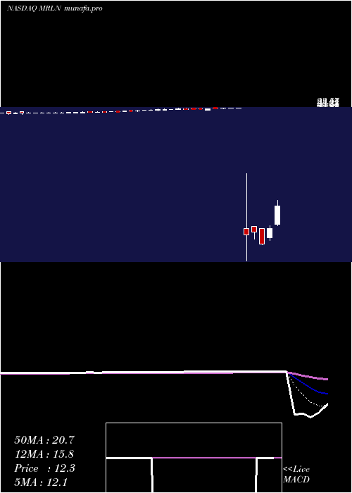  Daily chart MarlinBusiness