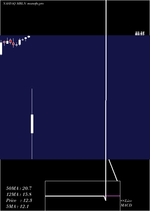  monthly chart MarlinBusiness