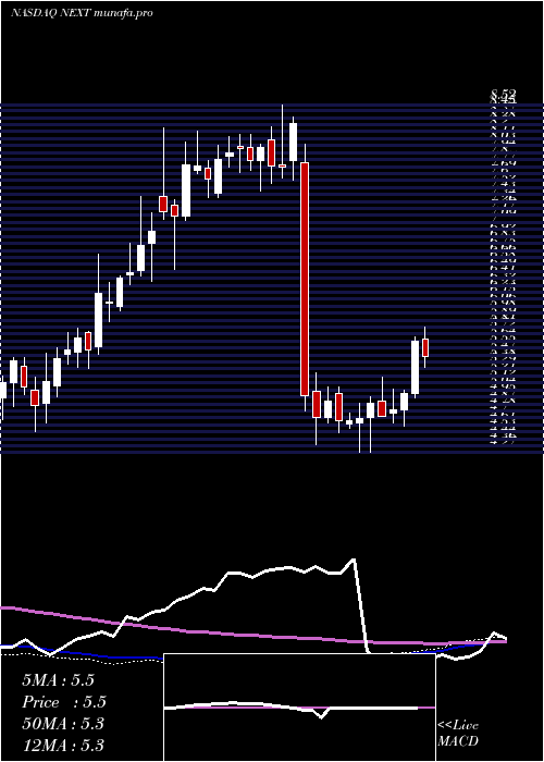  weekly chart NextdecadeCorporation