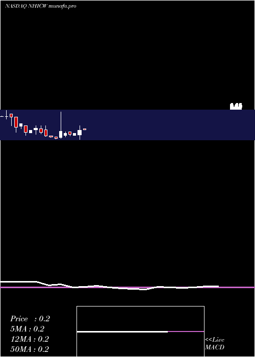monthly chart NewholdInvestment
