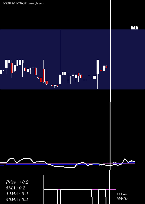 weekly chart NewholdInvestment