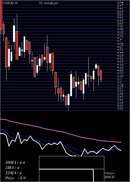  Daily chart NisunInt