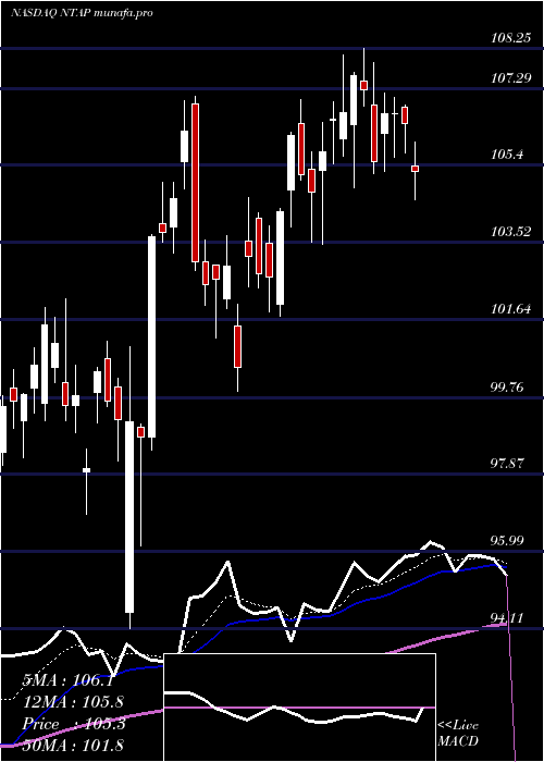  Daily chart NetappInc