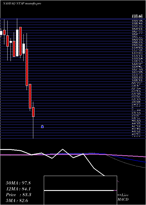  monthly chart NetappInc