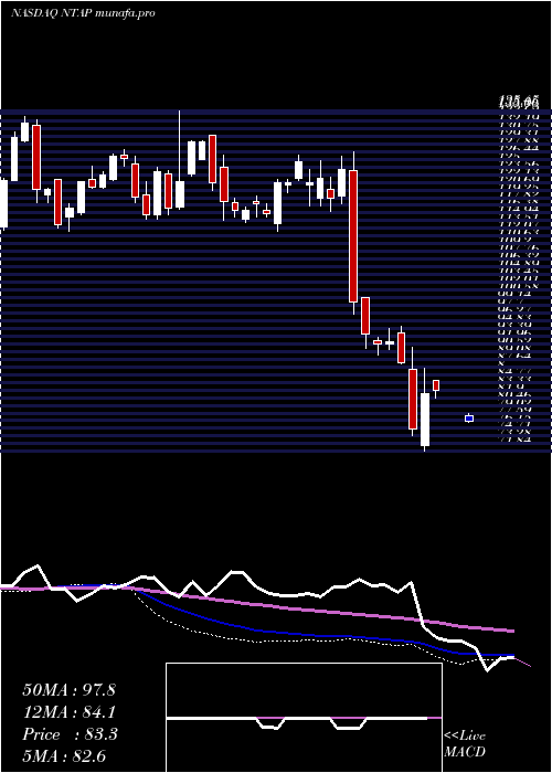  weekly chart NetappInc